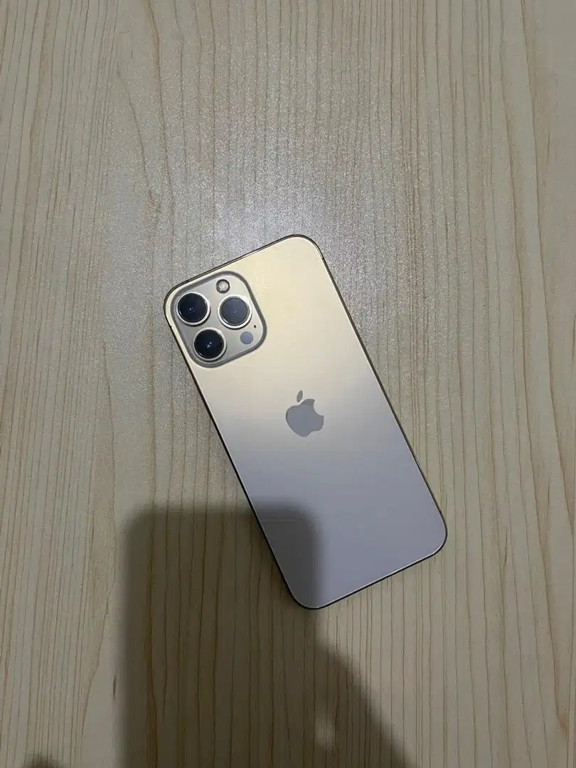 Iphone 13 Promax 256 GB All Oprator