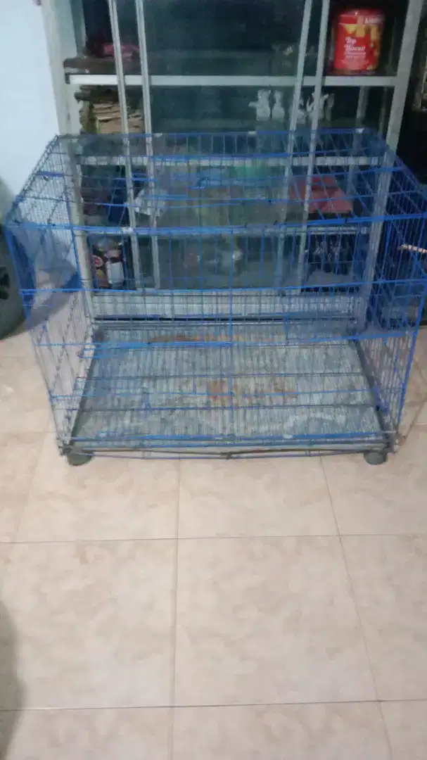 Kandang kucing. Anjing atau kelinci
