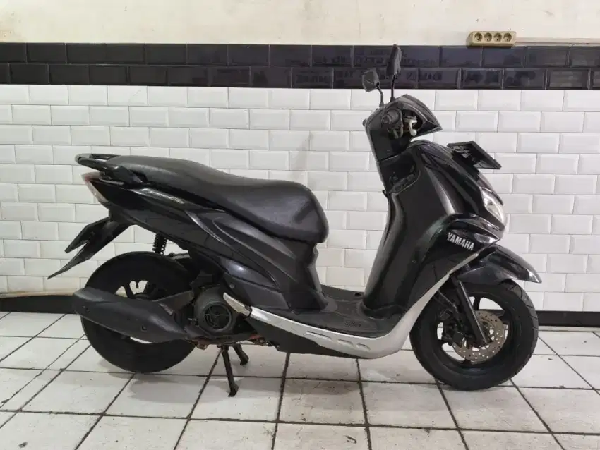 Freego 2020 bagus