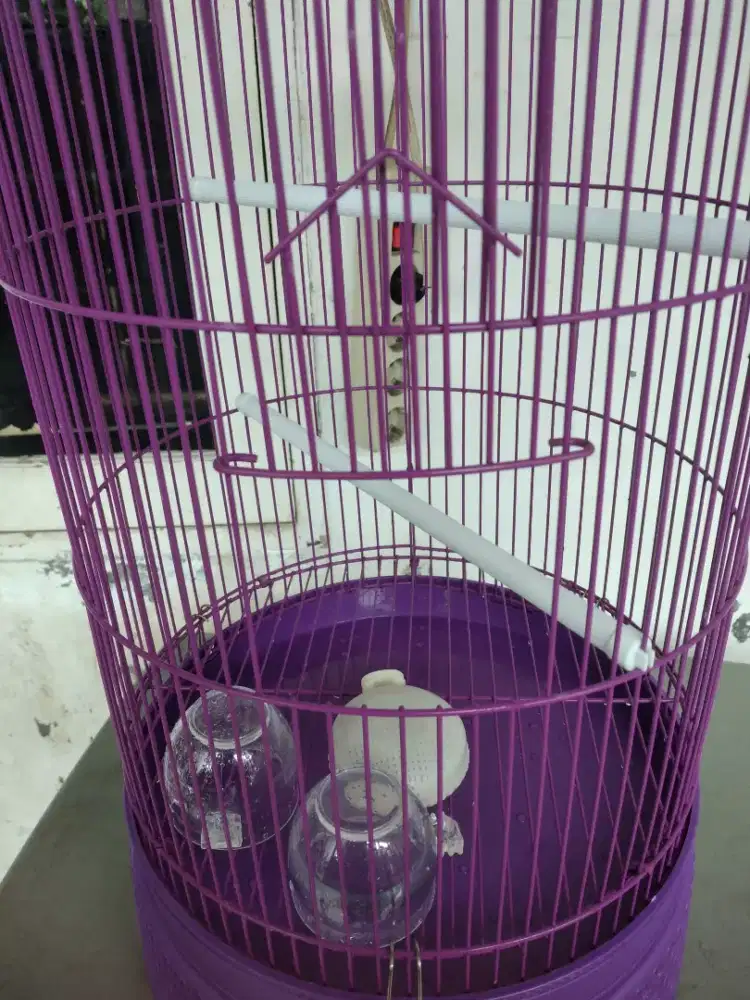 Kandang Burung Bekas