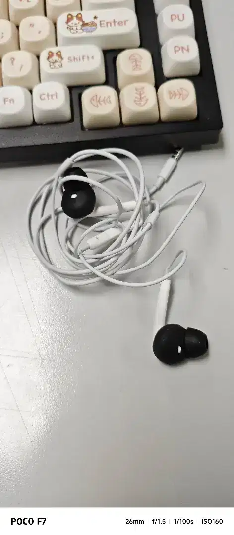 Original Earpod