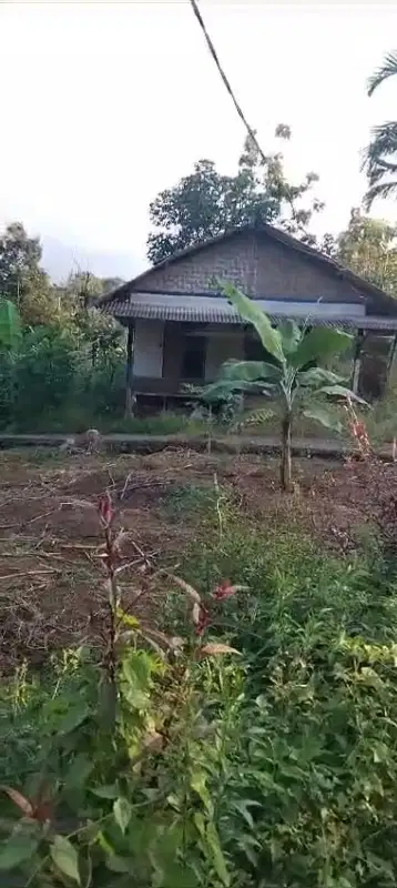 Dijual: Tanah Kosong di Daerah Jonggol, Bogor