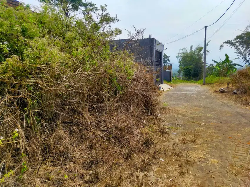 Tanah Siap Bangun Dekat Kampus UIN 3 Malang