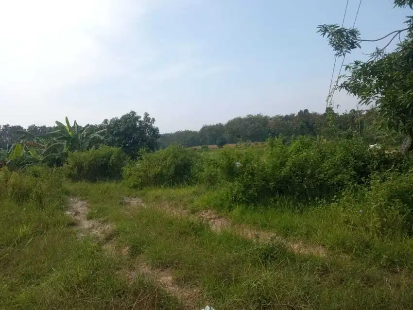 DIJUAL TANAH UNTUK INDUSTRI DI GROBOGAN