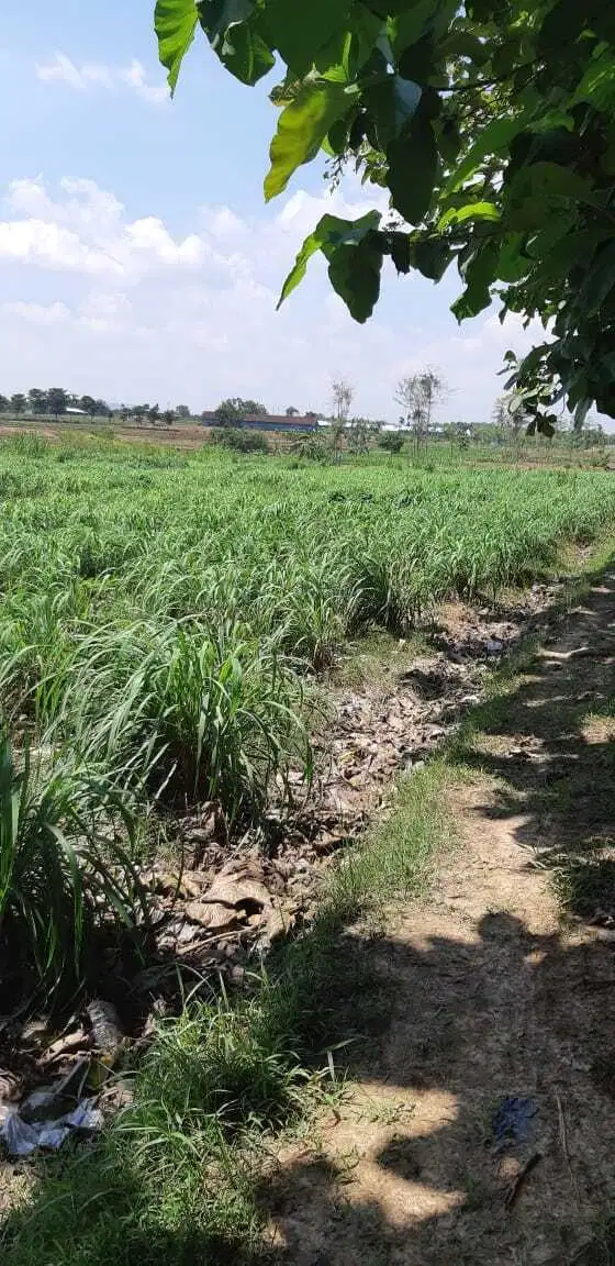 DIJUAL LAHAN/TANAH INDUSTRI GROBOGAN, 10 - 100 HA