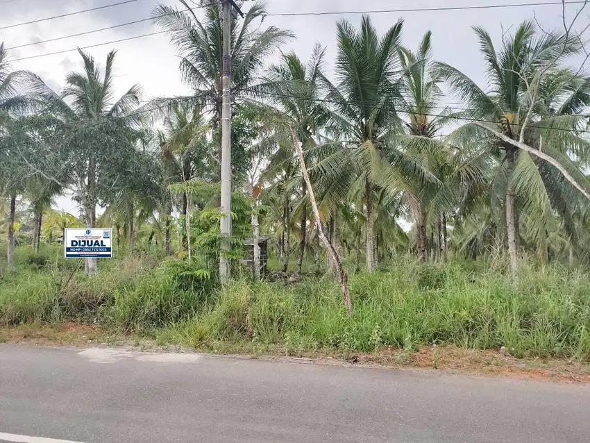 [MP037] Tanah 10.950 m2 Jl. Senggarang - Tanjungpinang