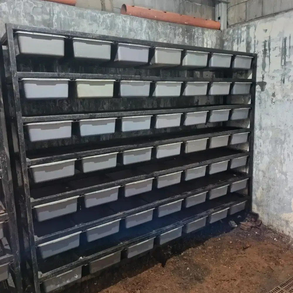 Kandang tikus putih hamster reptil magot