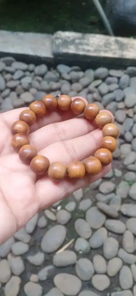 Natural Sandal Wood Cendana NTT