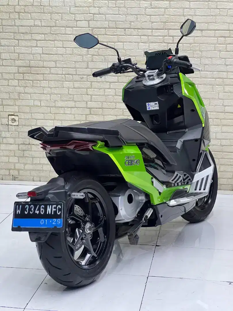 MATIC TER KENCANG‼️ Molis Alva Cervo Pmk 2024 Favorite