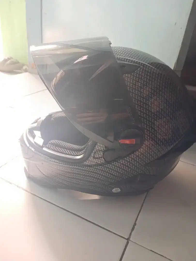 Snail Fs 1 Carbon