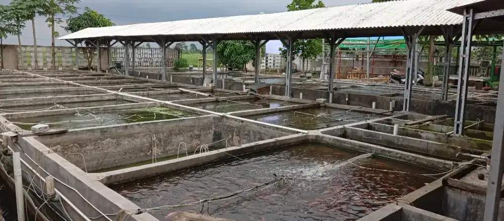 JUAL CEPAT Tanah dan Bangunan