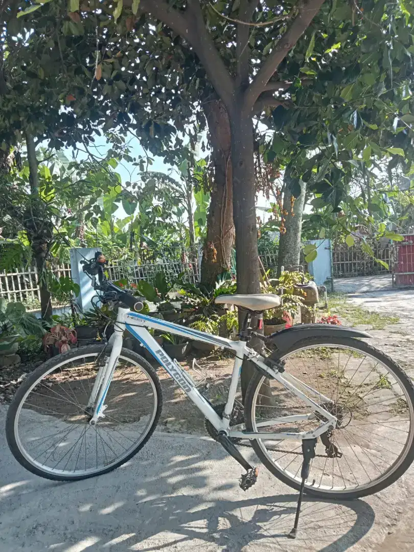 Polygon mulus full modif