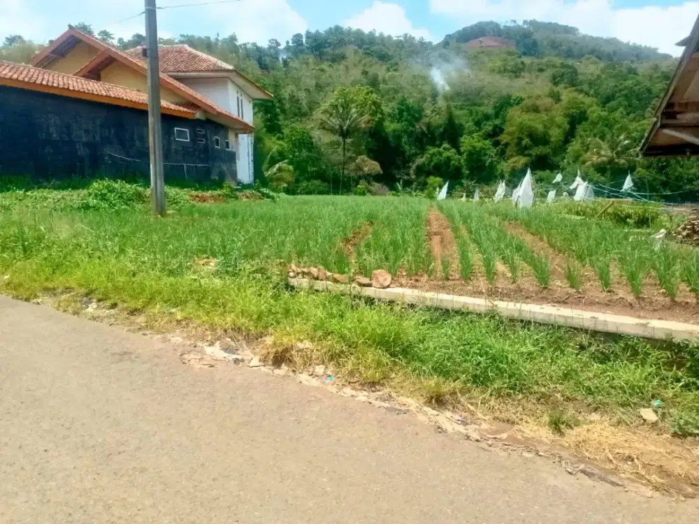 Jual Tanah Pinggir jalan utama desa view Mantap