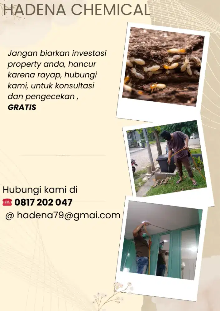 Jasa anti rayap & pest control