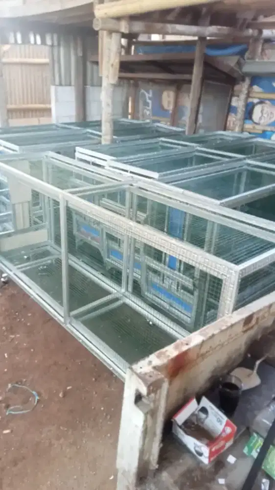 Menjual umbaran murai