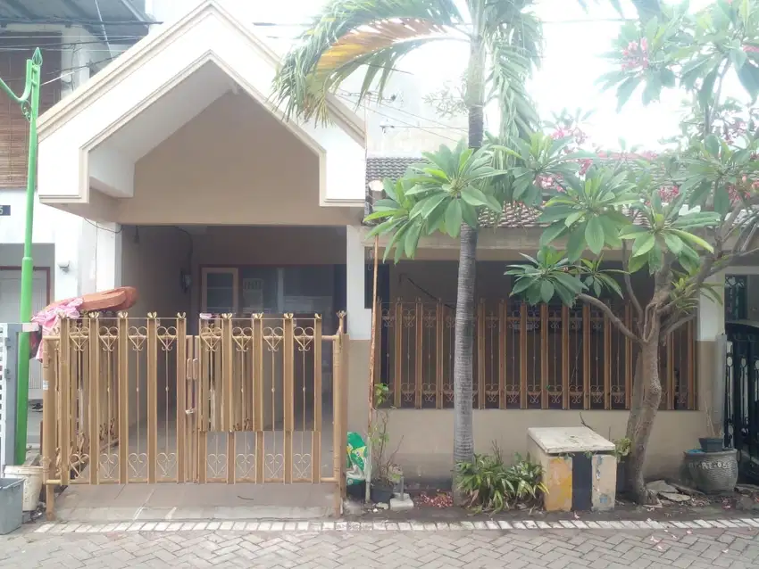 Mulyosari Tengah 1 lantai dekat sutorejo dharmahusada pakuwon city