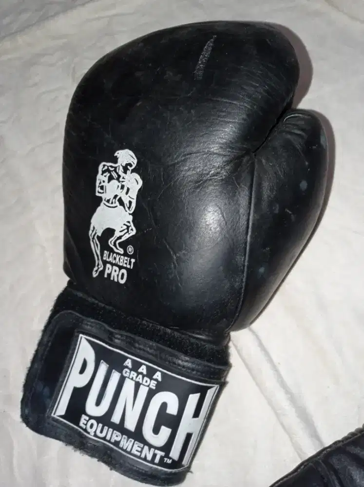sarung tinju profesional pro