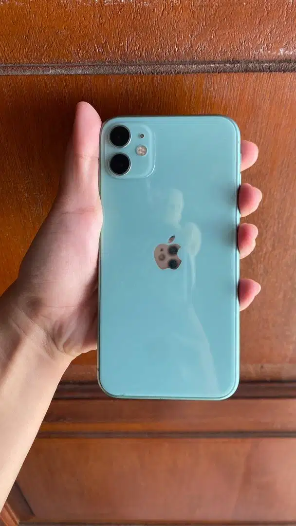Iphone 11 Wifi Only
