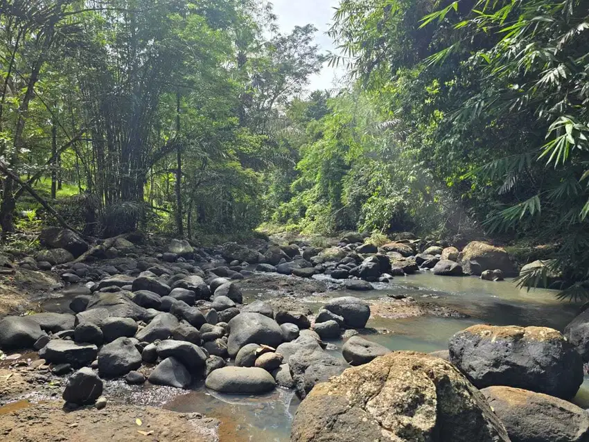Dijual tanah los sungai besar berbatu