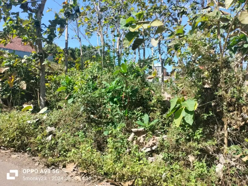 Di jual tanah murah jl.pura lempuyang  ,kutuh