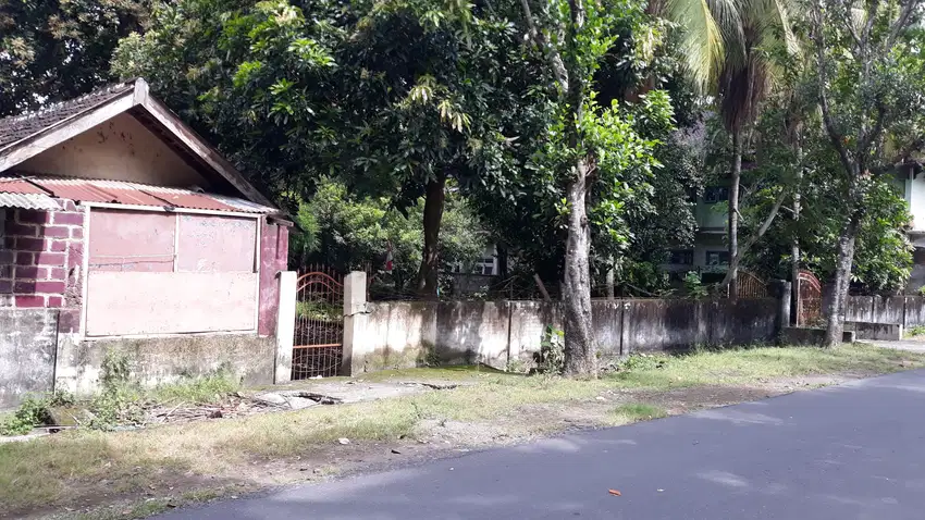 Tanah di Tengah Kota Selong