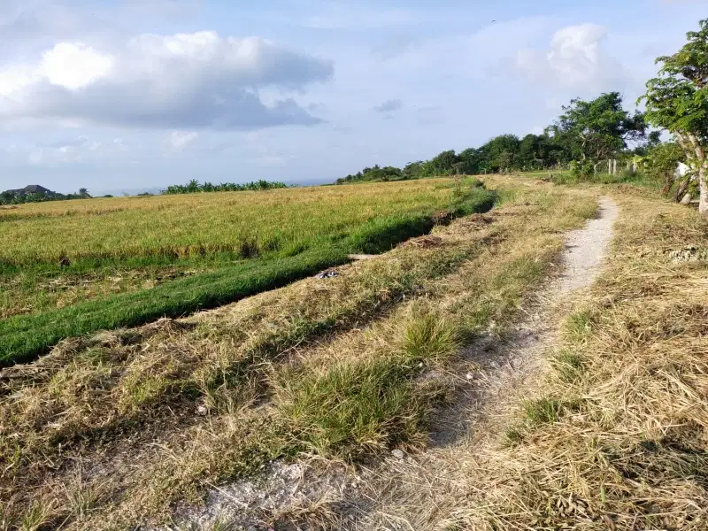 Tanah yeh gangga tabanan bali