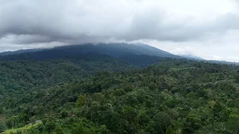 jual tanah kebun aneka buah harga murah di tabanan bali.