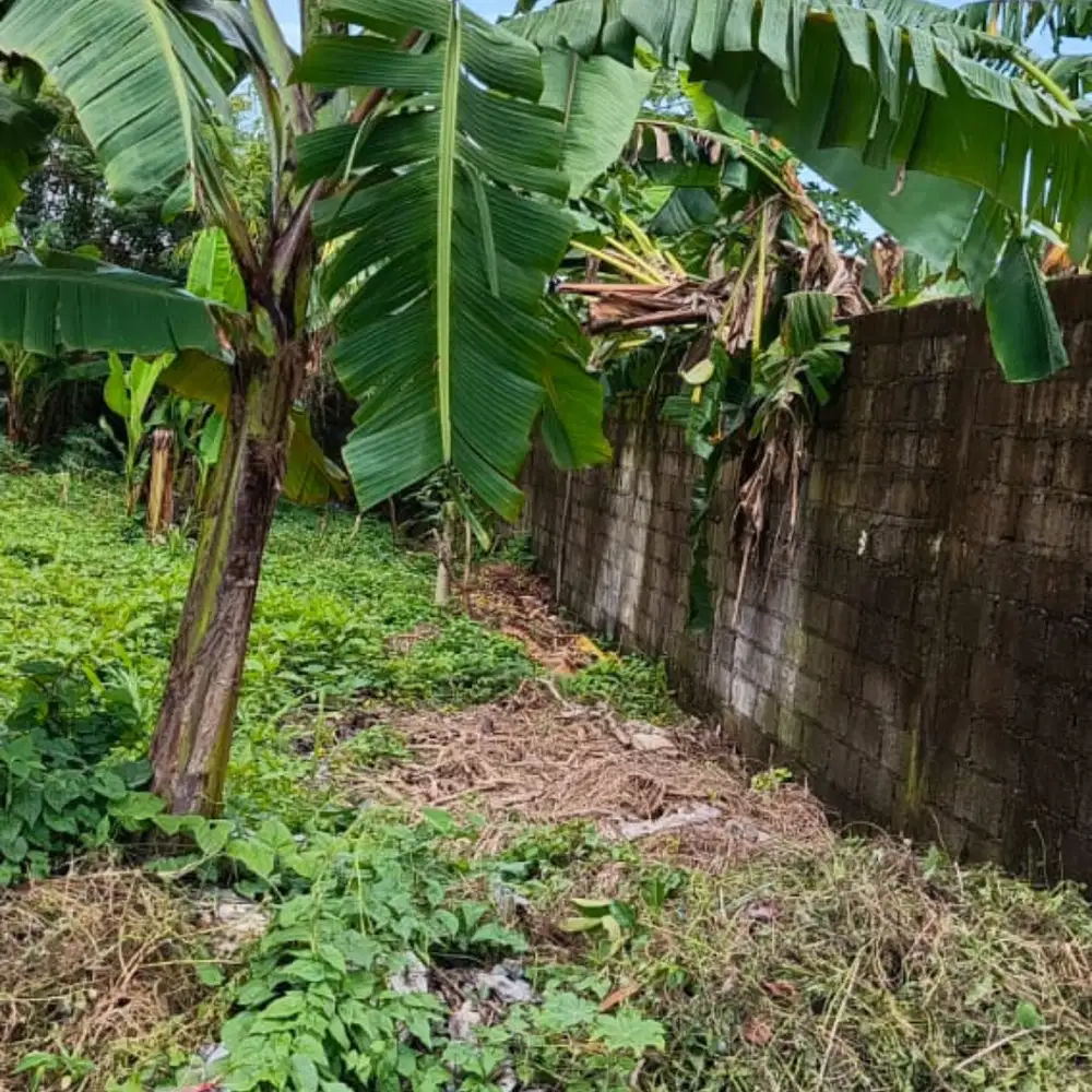 tanah strategis di pusat kota Renon  jalan BADAK AGUNG utama