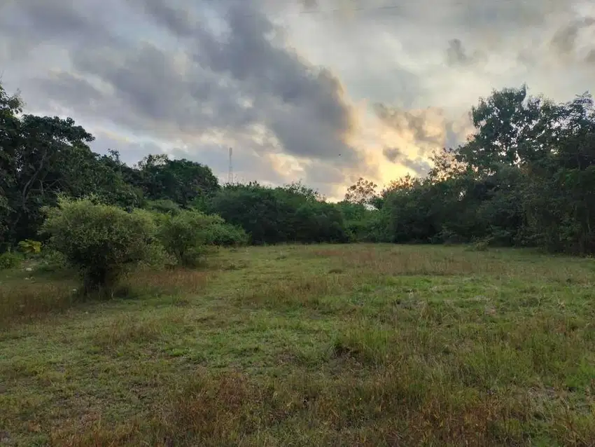Dijual Murah Tanah Lokasi Stategis di Kutuh
