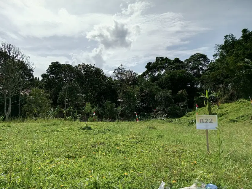 Kav tanah murah banget shm di bogor puncak megamendung