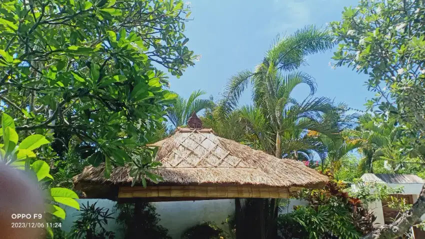 Melayani service atap Alang Alang rumah bambu pagar bambu dll