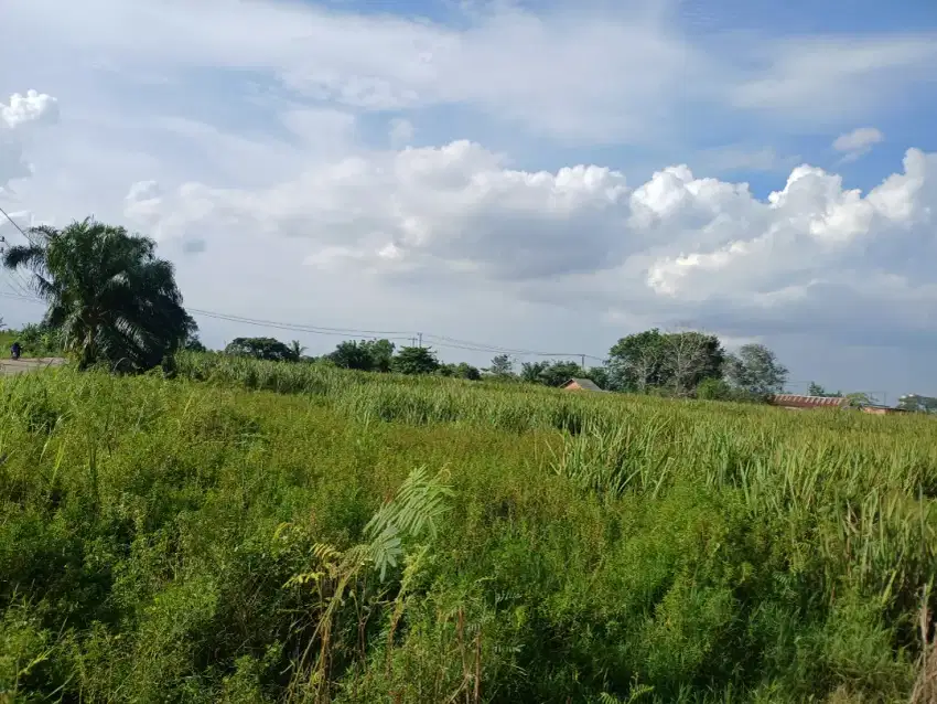 Jual Tanah 4.9 Ha SHM