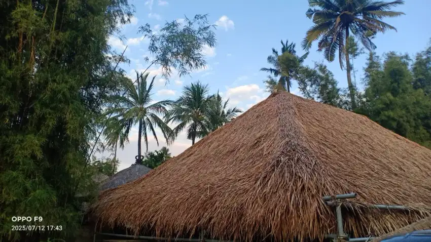 Melayani service bongkar pasang atap Alang Alang dan gazebo