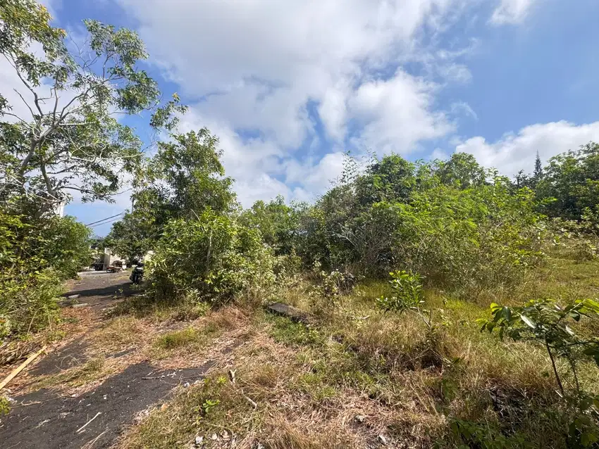 Dijual tanah ocean view pecatu jln bendesa