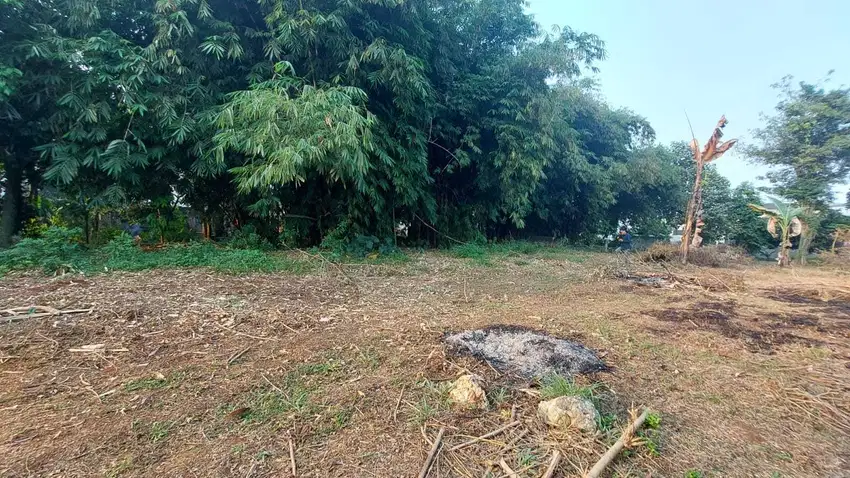 Miliki Kavling SHM Cileungsi – Akses Mudah, Lokasi Berkembang!