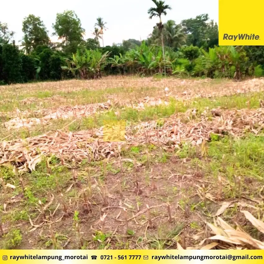 Dijual Tanah di Natar, Lampung selatan (kode: RE 3330)