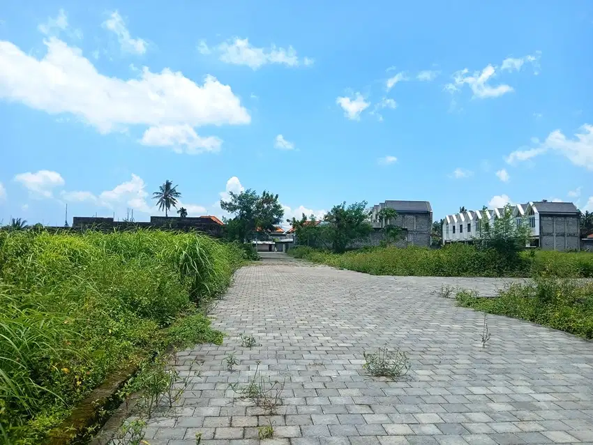 JUAL CEPAT TANAH KAVLING VIEW SAWAH DI TABANAN - BALI