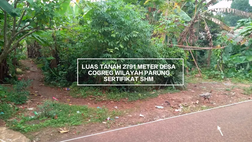 TANAH DARAT MURAH STRATEGIS DI JALAN DESA COGREGKECAMATAN PARUNG BOGOR