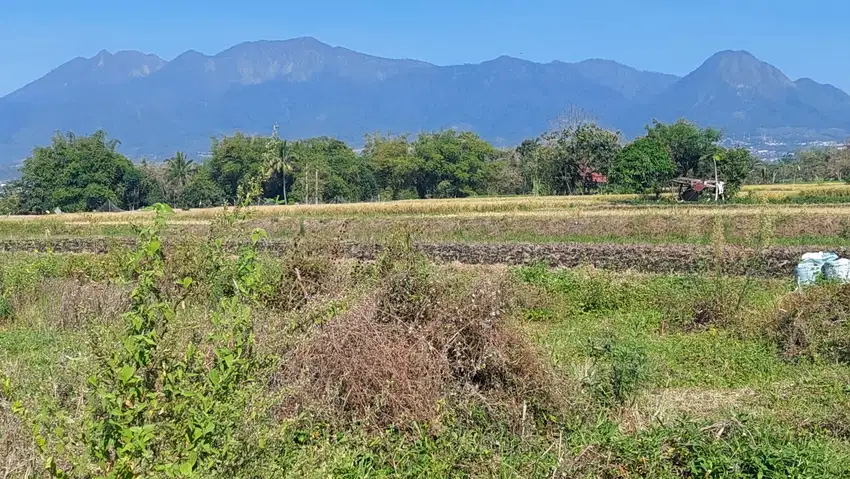 DIJUAL TANAH KARANGPLOSO