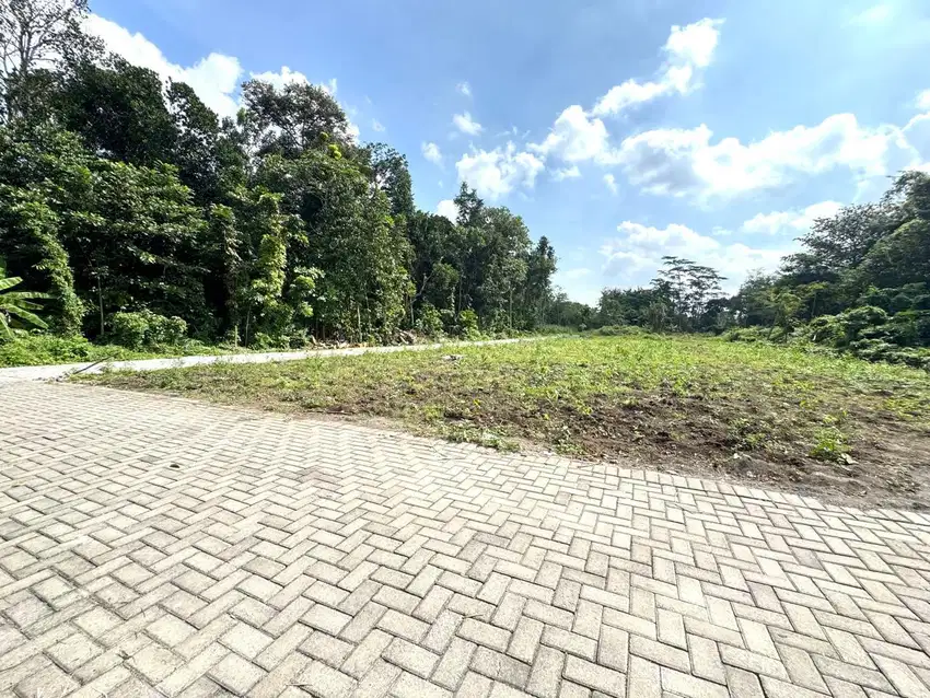 Prospek Bangun Kos, Tanah Belakang Kampus