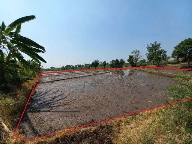 TANAH LEMAHBANG PASURUAN 95228 ASSET BANK, CASH ONLY