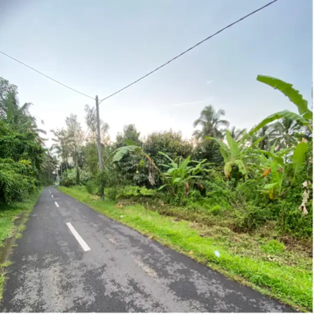 jual tanah kebun tabanan penebel 42are