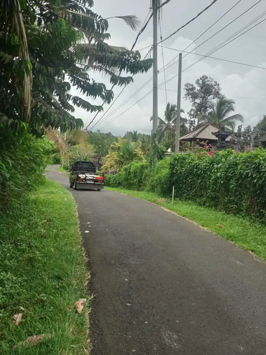Jual tanah antosari 40are
