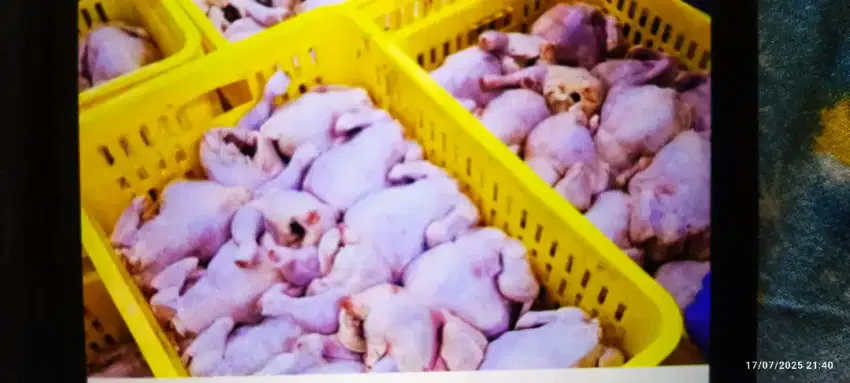 Pegawai Toko Ayam Segar