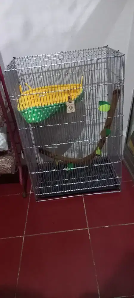 Kandang sugar glider , burung dan lain lain