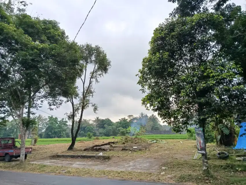 Jasa tebang pohon