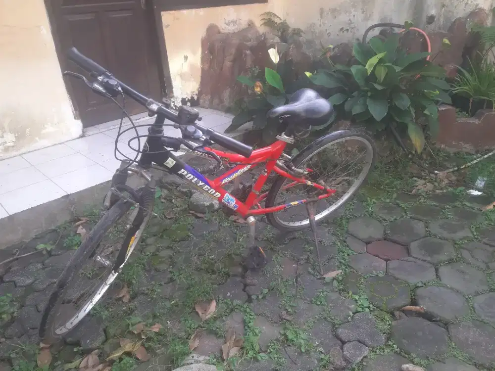 Sepeda Polygon Evolution 21speed