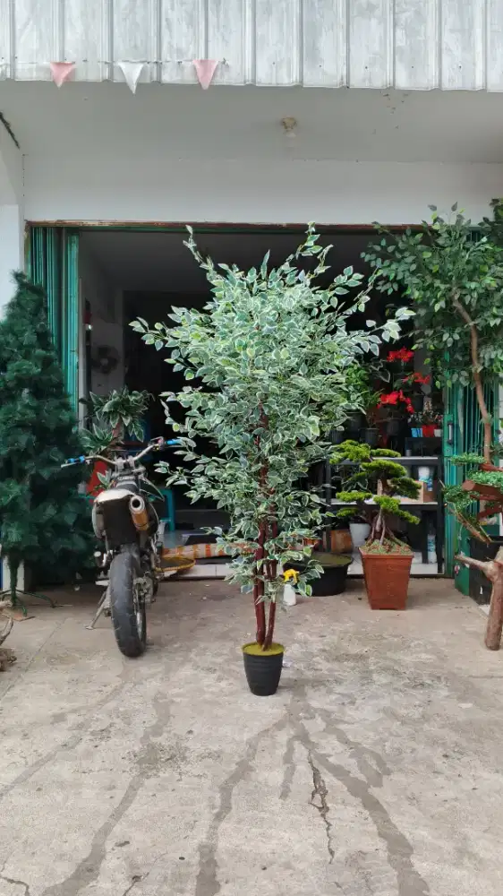 Pohon artificial beringin varigata super rimbun