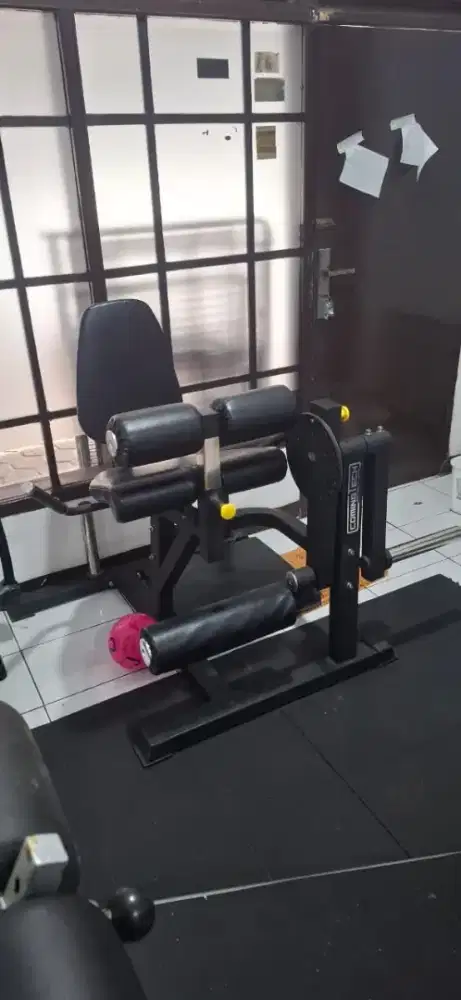 Leg extension leg curl