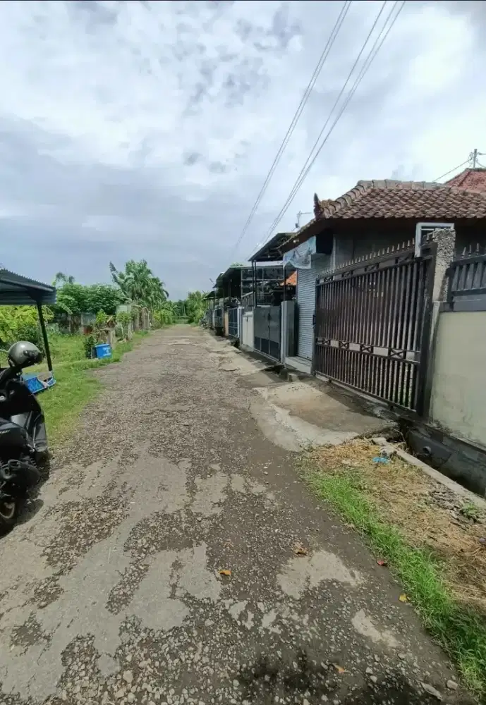 Tanah dekat jln provinsi di tukadmungga singaraja dekat lovina